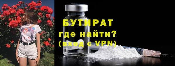 индика Арсеньев