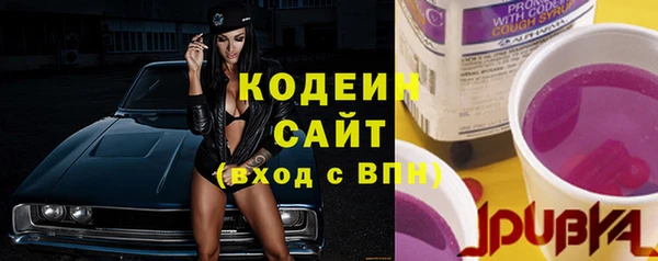 индика Арсеньев