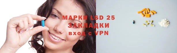 индика Арсеньев