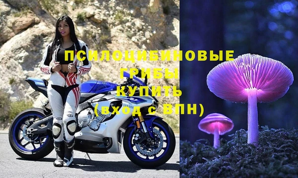 индика Арсеньев