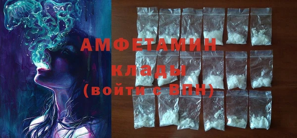 индика Арсеньев