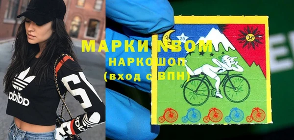 индика Арсеньев