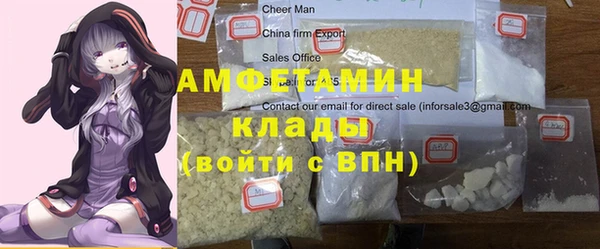индика Арсеньев