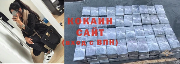 индика Арсеньев