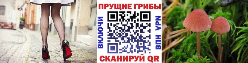 Галлюциногенные грибы Magic Shrooms  Удомля 